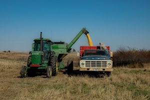 towing services