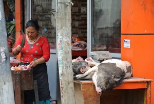 nepal businesswoman